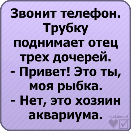 №18, Света Патрушева №18, Света Патрушева