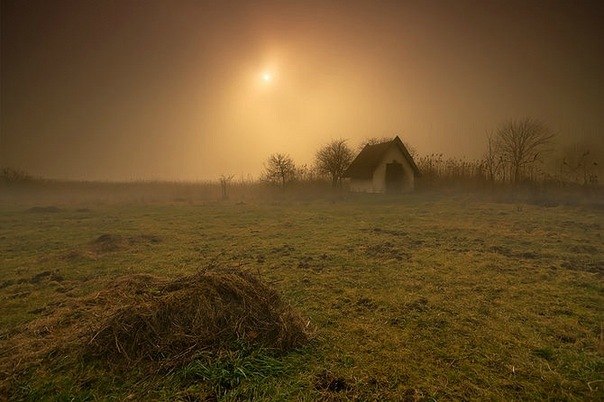 Алина Богданова | 