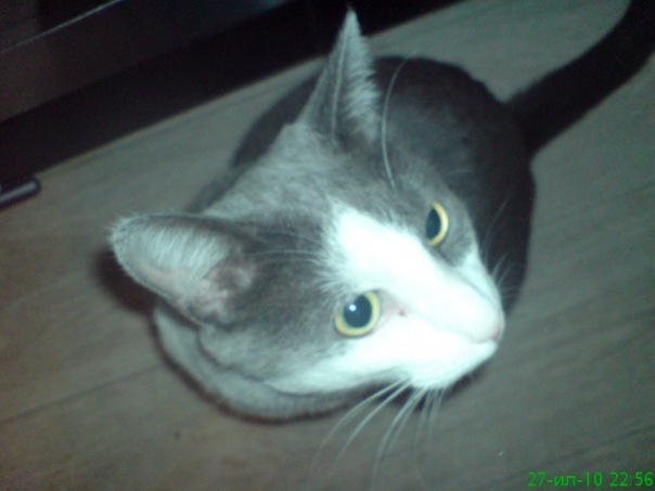 №44, Анна Романенко №44, Анна Романенко