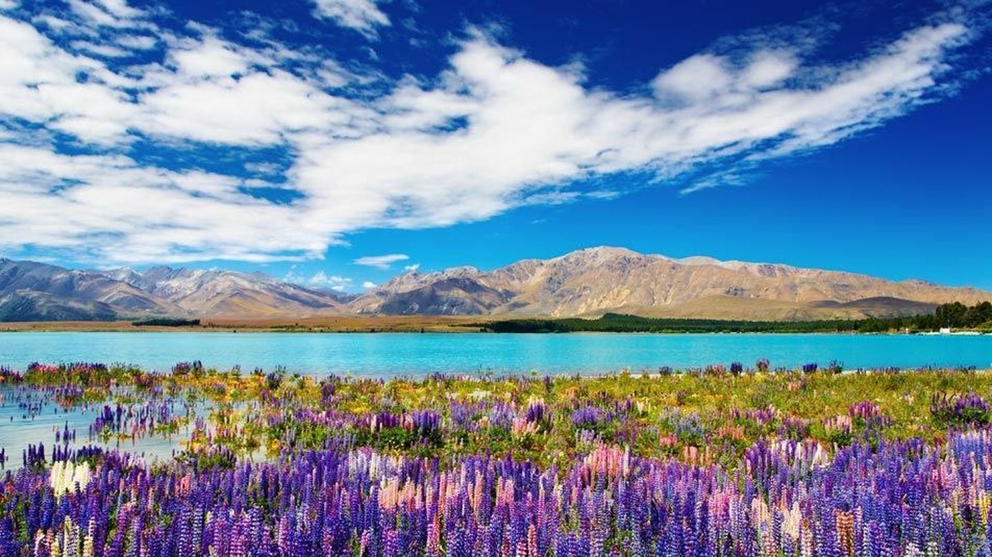 Лена Филимонова | Москва