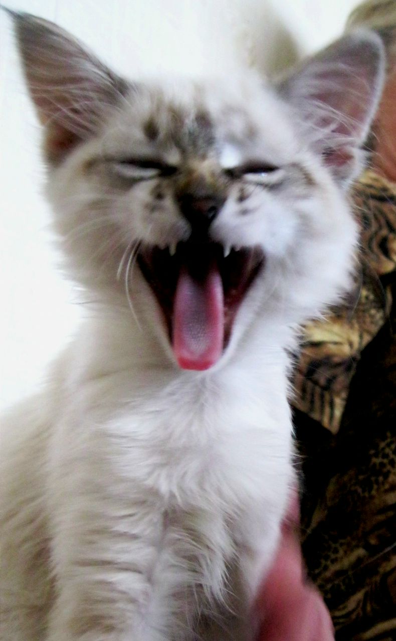 Ксения Матюхина | 