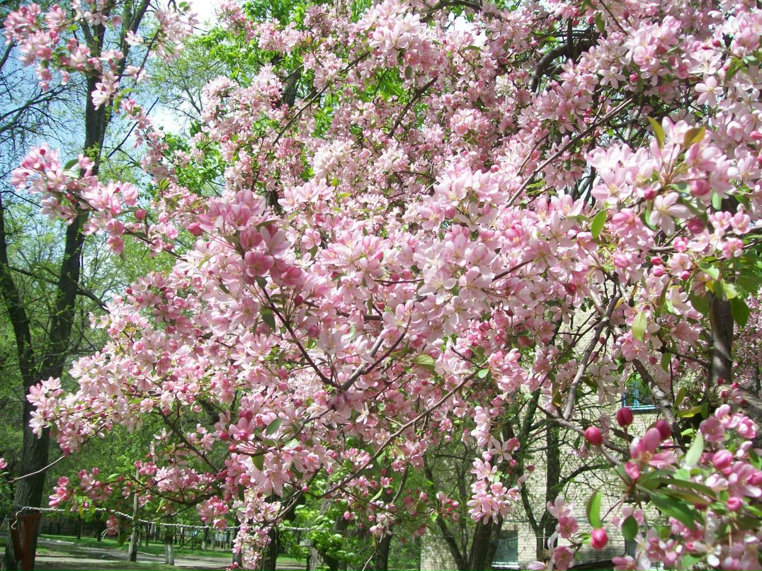 Кристина Коломийченко | Киев