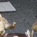 №53, Вітя Глушук, Луцк №53, Вітя Глушук, Луцк