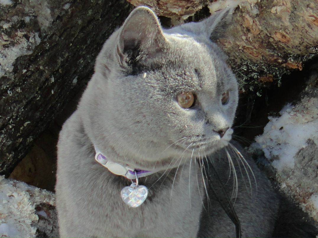 Даурия Рожкова | Санкт-Петербург