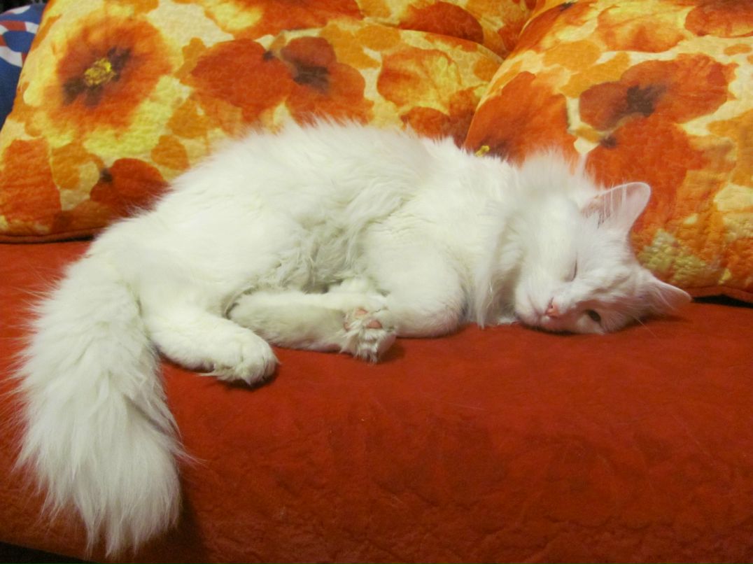 Наталья Смирнова | Ульяновск