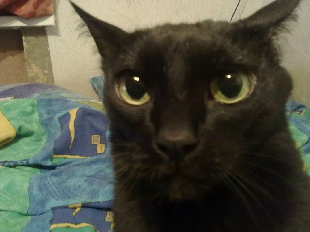 Аня Чайкина | Москва