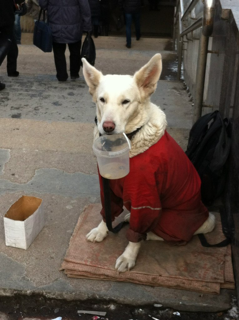 Наталия Комова | Москва