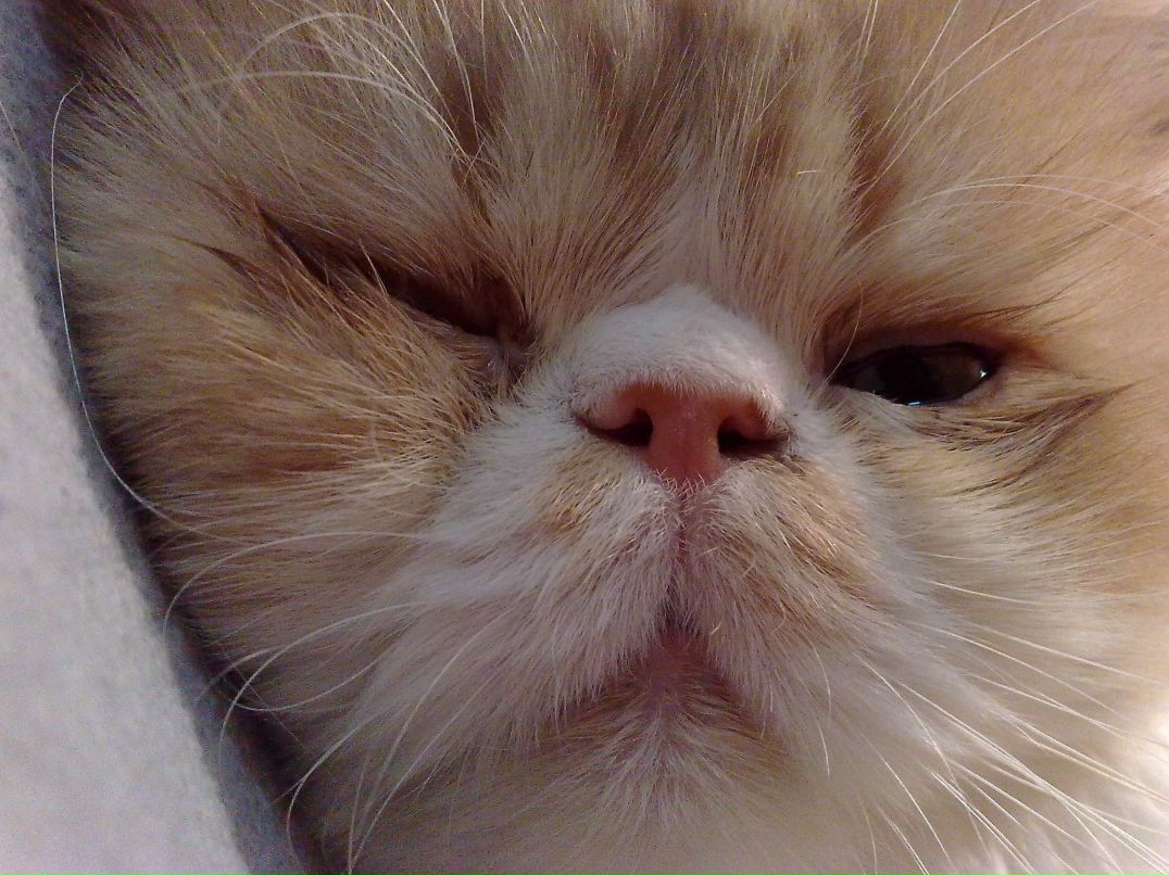 Денис Крупнов | Харьков