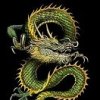 Аватар: Саня Галкин