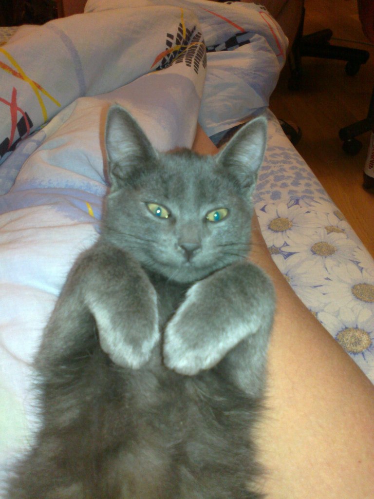 Наталия Кривченкова Ипатова | Москва