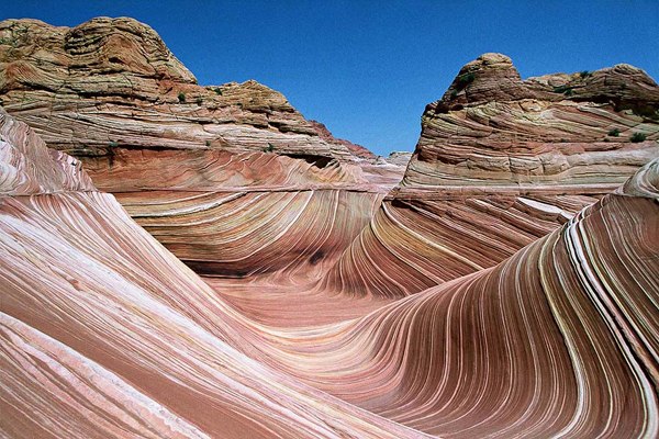 №10, Наталья Гажа, Харьков №10, Наталья Гажа, Харьков