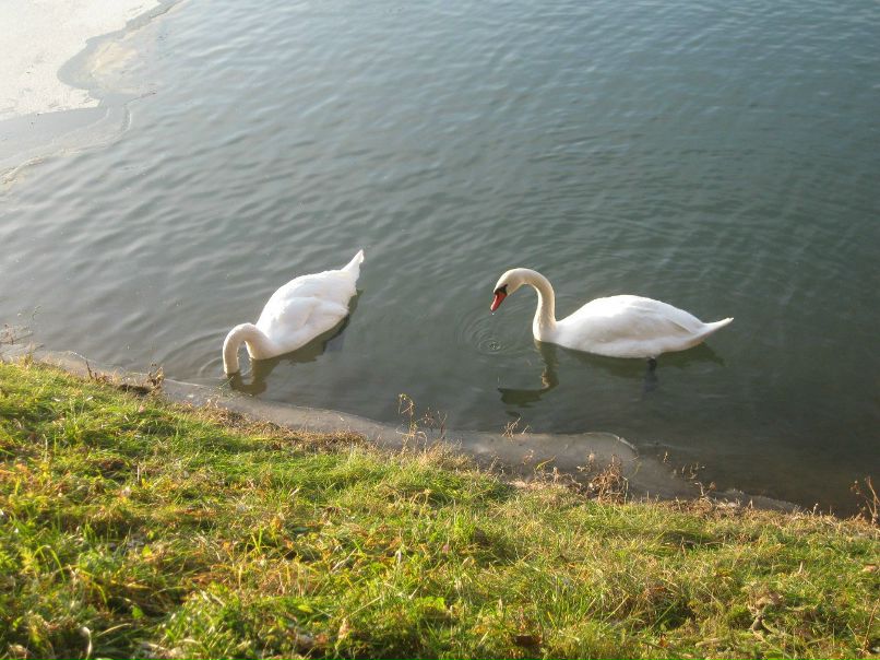 Гульнара Вастрякова | Набережные Челны