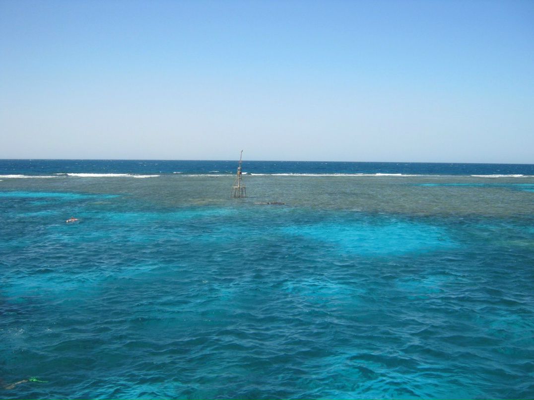 Станислава Звенкова | Обнинск