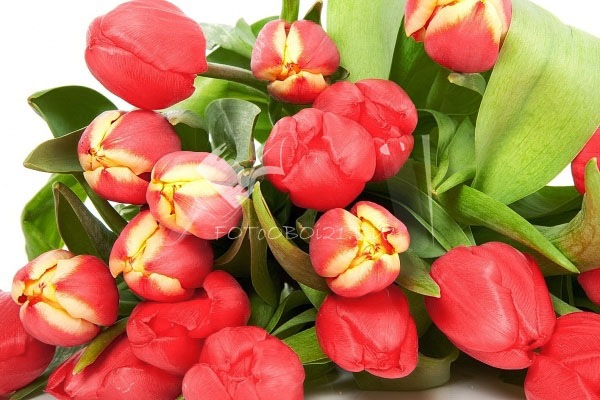 №52, Ирина Букреева, Москва №52, Ирина Букреева, Москва