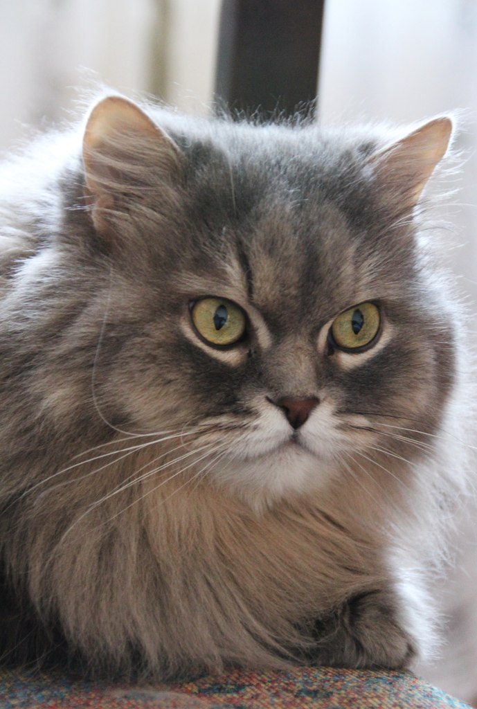 Аня Шеховцова | Волжский