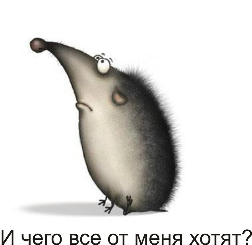 Александр Абрамов | Санкт-Петербург