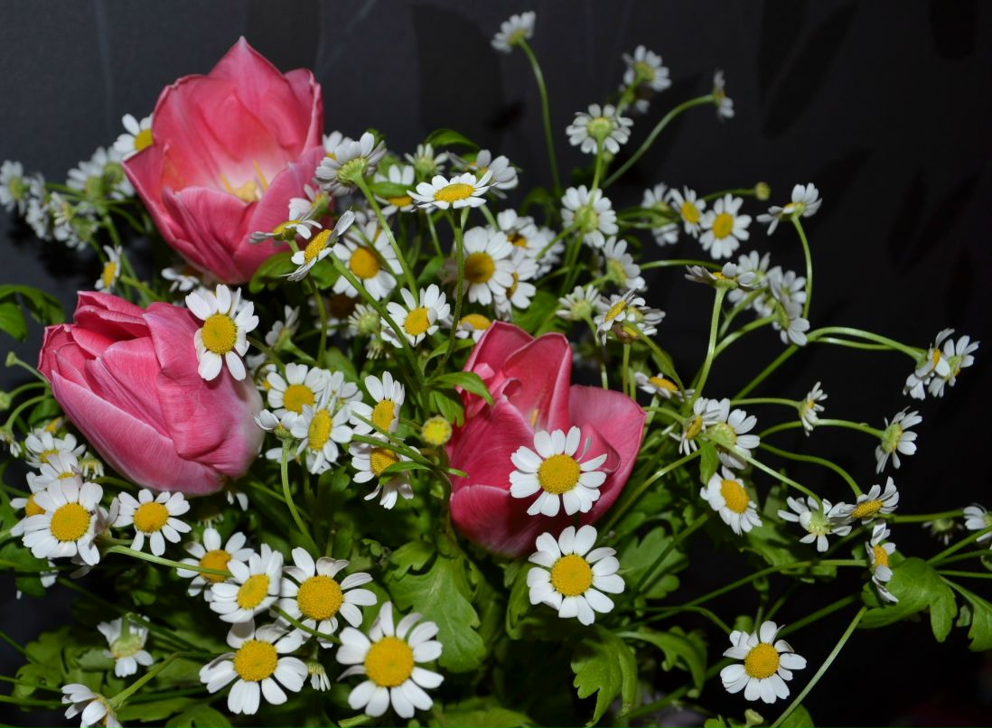 Елена Остапчук | Киев