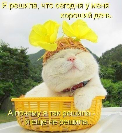 Анна Фенько | Псков