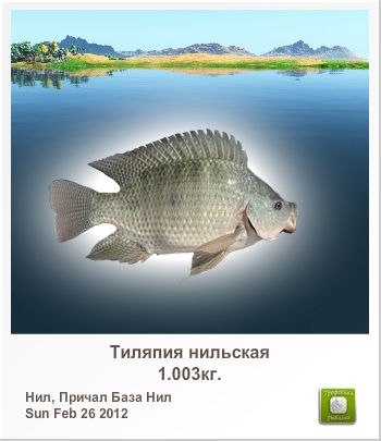 Александр Сироткин | Санкт-Петербург