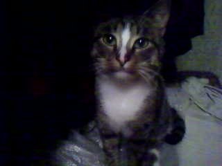 Яков Зильберман Наумович | Копыль