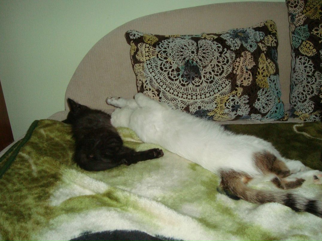 Оксана Суслова | Красноярск