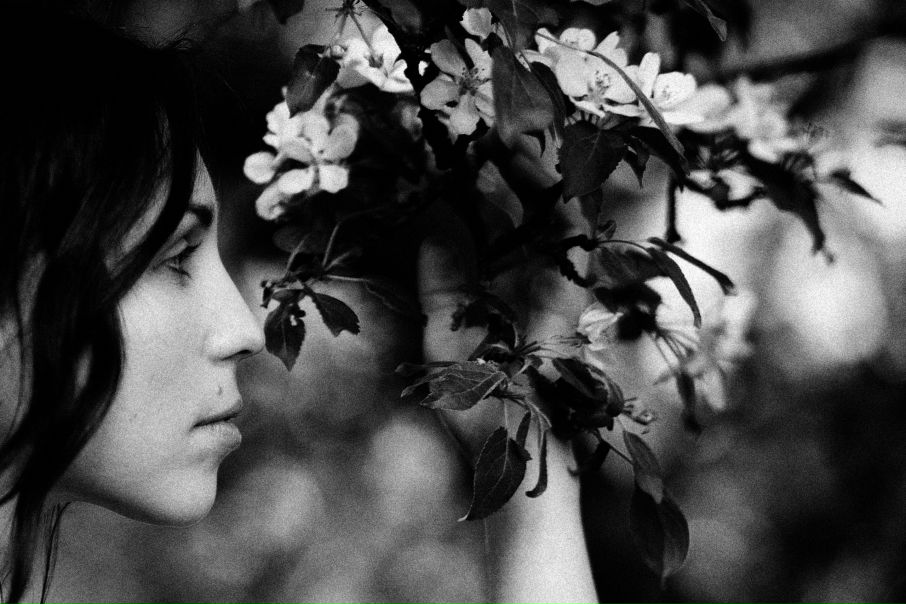 №108, Марина Фролова, Сумы №108, Марина Фролова, Сумы