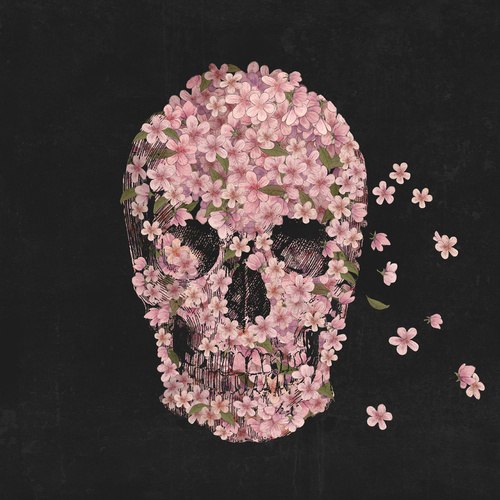 Didenko Wika | Москва