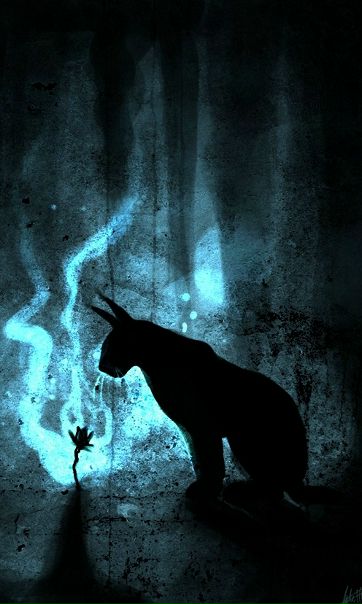 №147, Юля Тесля, Киев №147, Юля Тесля, Киев