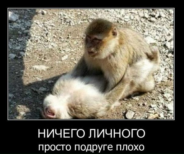 №34, Саша Бондаренко, 37 лет, Киев №34, Саша Бондаренко, 37 лет, Киев