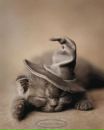 Фотография Мария Королёва