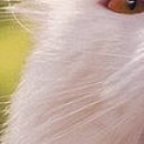 №187, Татьяна Степанова, 33 года, Миасс №187, Татьяна Степанова, 33 года, Миасс