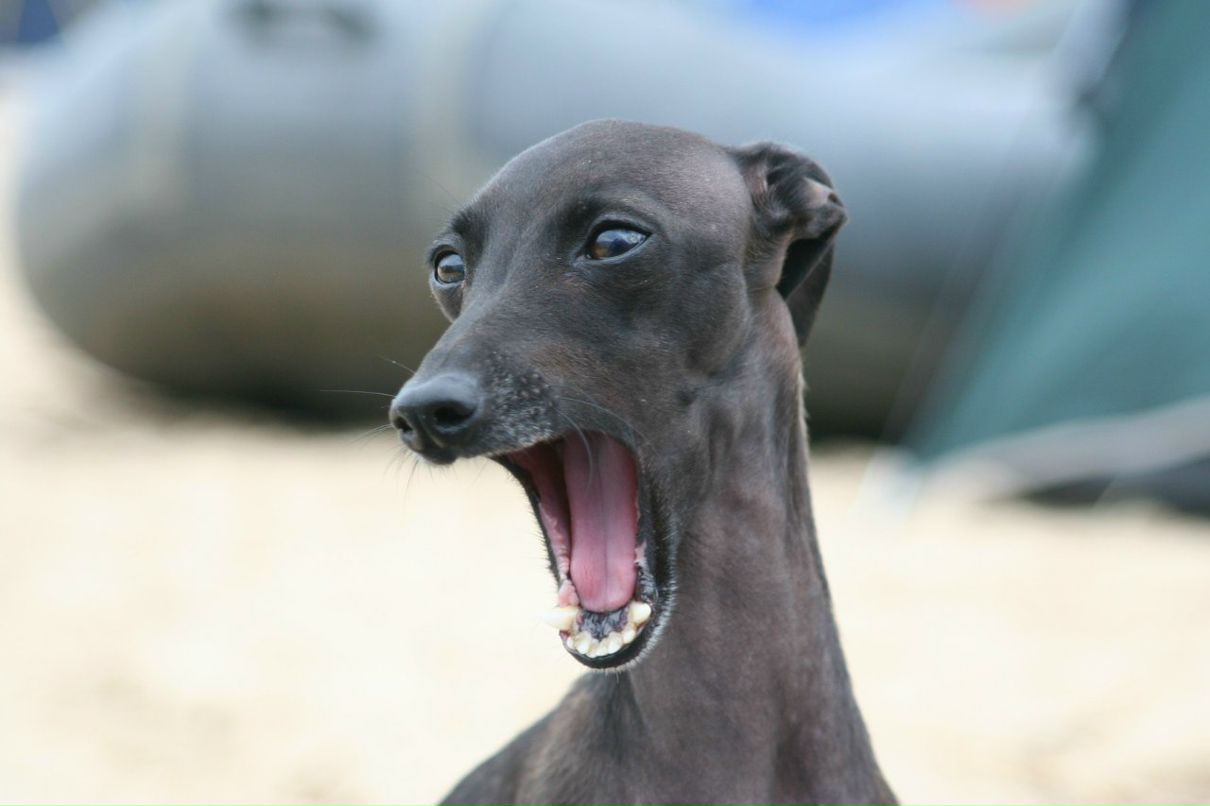 Мария Лексикова | Москва