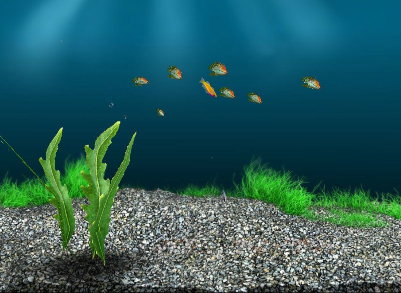 Александр Гончаров | Галич