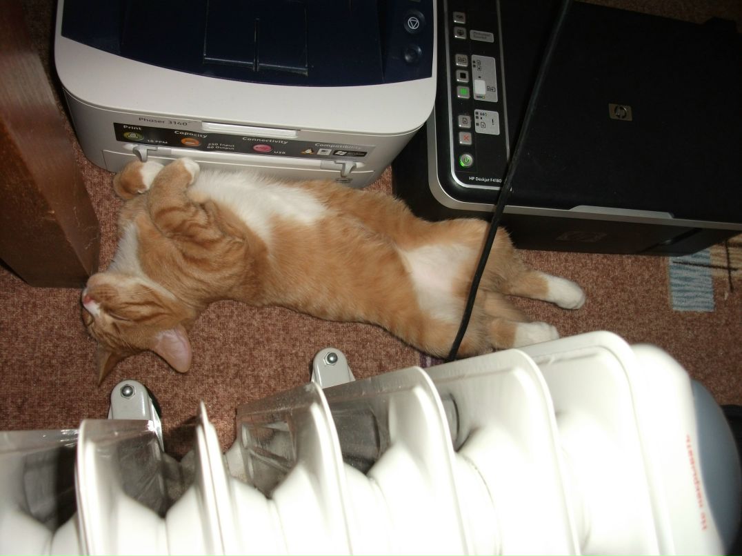 Сергей Бочаров | Санкт-Петербург