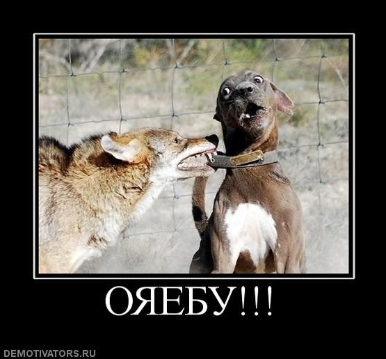 Лена Головач <---> | Днепр (Днепропетровск)