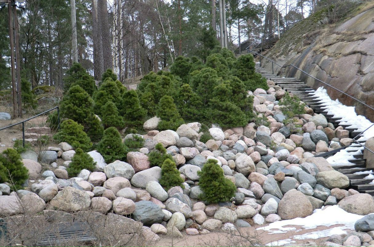 Илья Туровцев Тосла | Санкт-Петербург