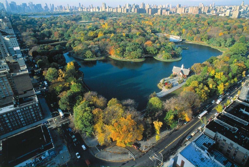 Фатима Шадова | Москва