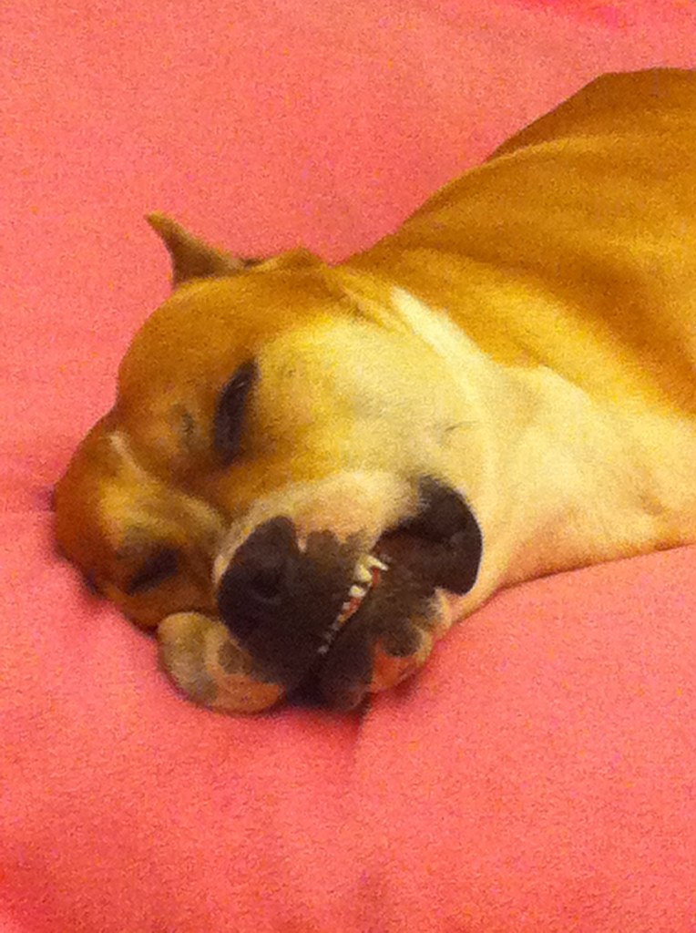 Наталія Гордей | Черновцы