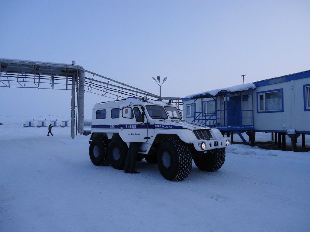 Тимур Ибраев | Пермь