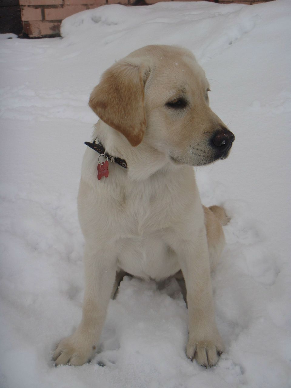 Яна Пухова | Ярославль (деревня)