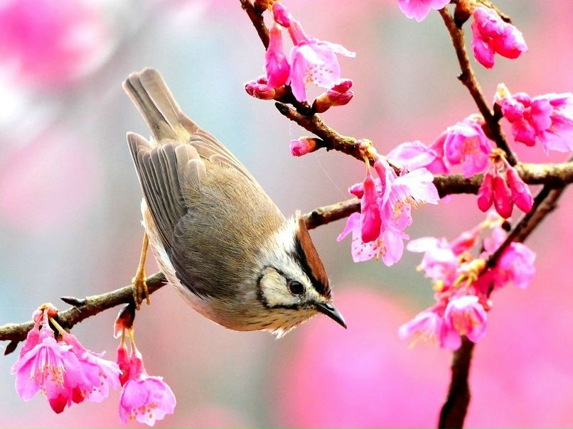 Анастасия Вилкова | Зеленоград