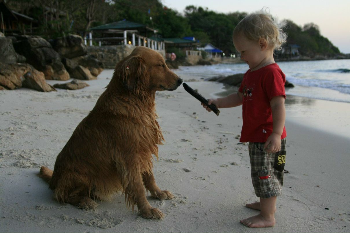 Вероника Ильинская | Москва