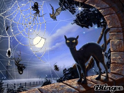 Лариса Кириллова | Симферополь