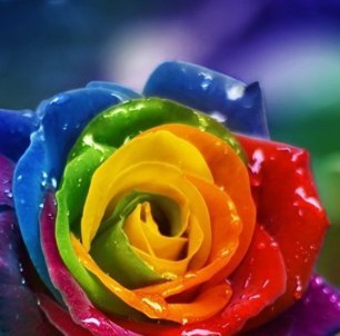 Антонина Циота | Запорожье