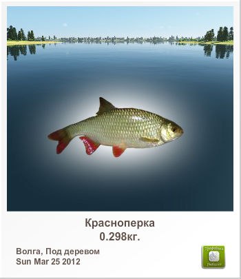 Александр Тярва | Montgomery Village