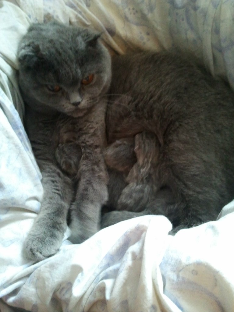 Вова Хомченко | Москва