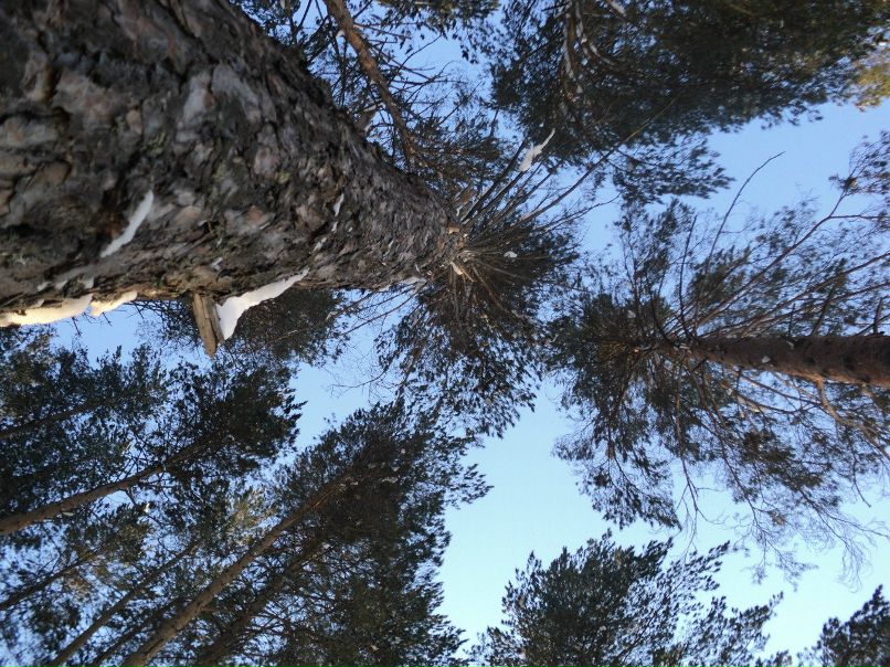 Айсылу Миникаева | Нефтекамск