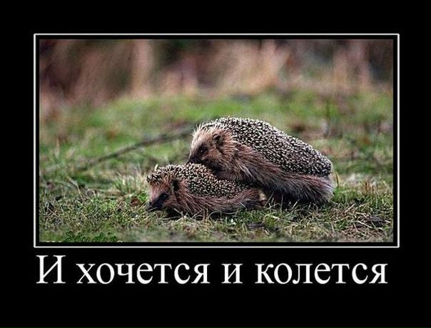 №91, Анастасия Швачко, Омск №91, Анастасия Швачко, Омск