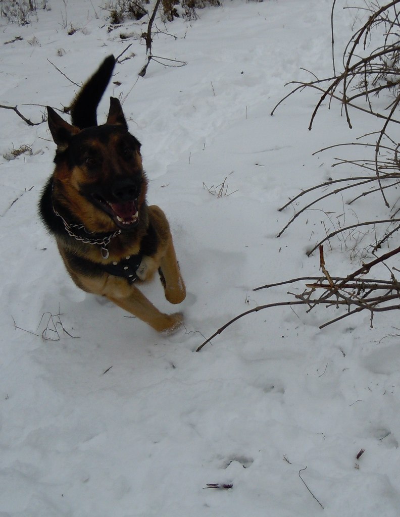 Елена Levit | Николаев