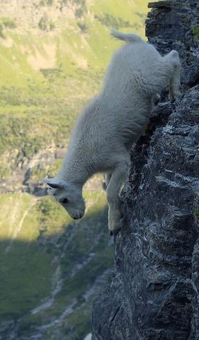 Валера Кропачев | Владивосток